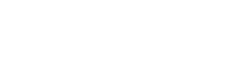 Logo Lowlander